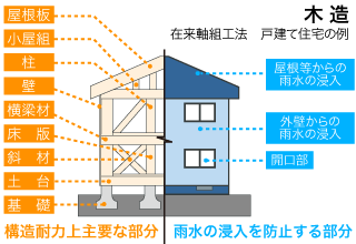 保険対象