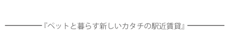 全6棟リノベーション