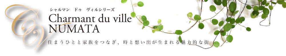 沼田