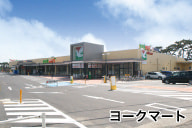 クリエイトS・D